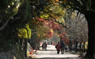 Evergreen Content Marketing: A Deep Guide