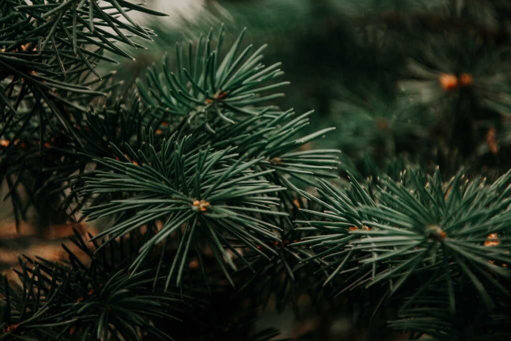 evergreen content marketing